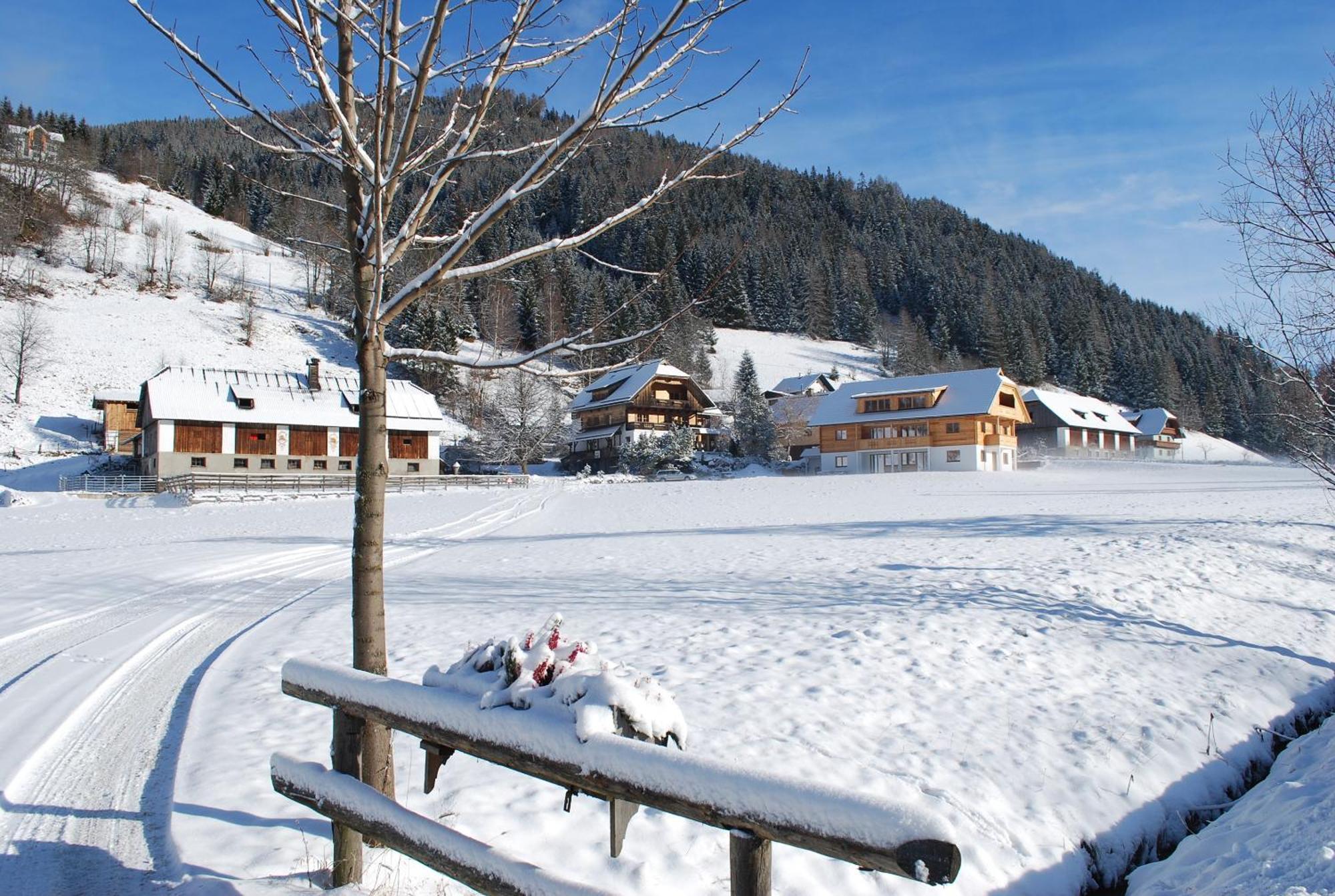 Apartamento Biohof Seidl Bad Kleinkirchheim Exterior foto