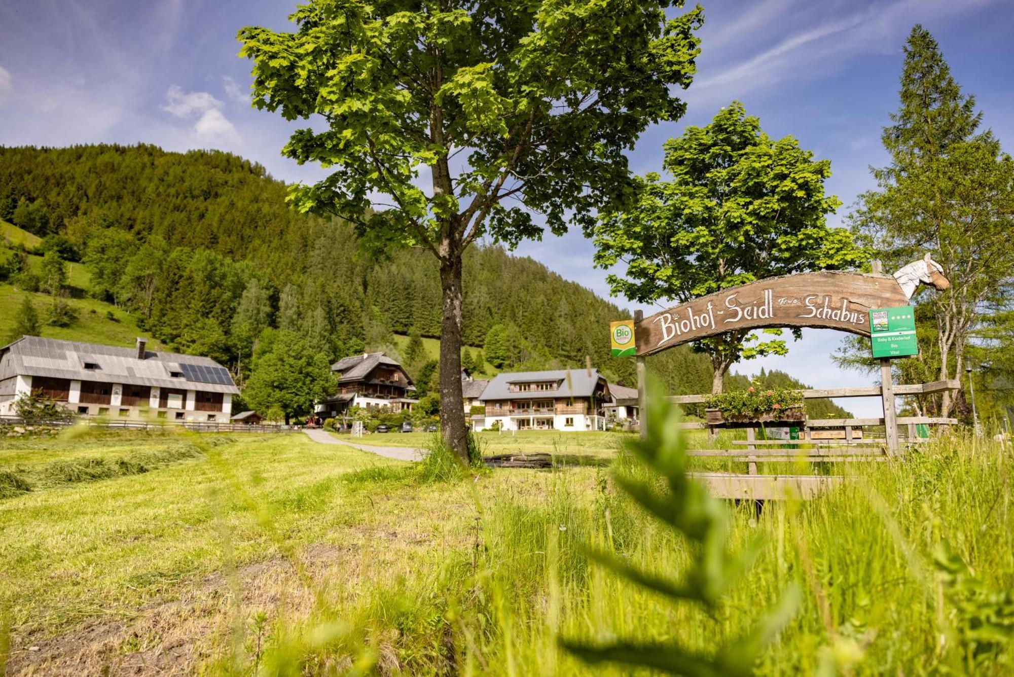Apartamento Biohof Seidl Bad Kleinkirchheim Exterior foto