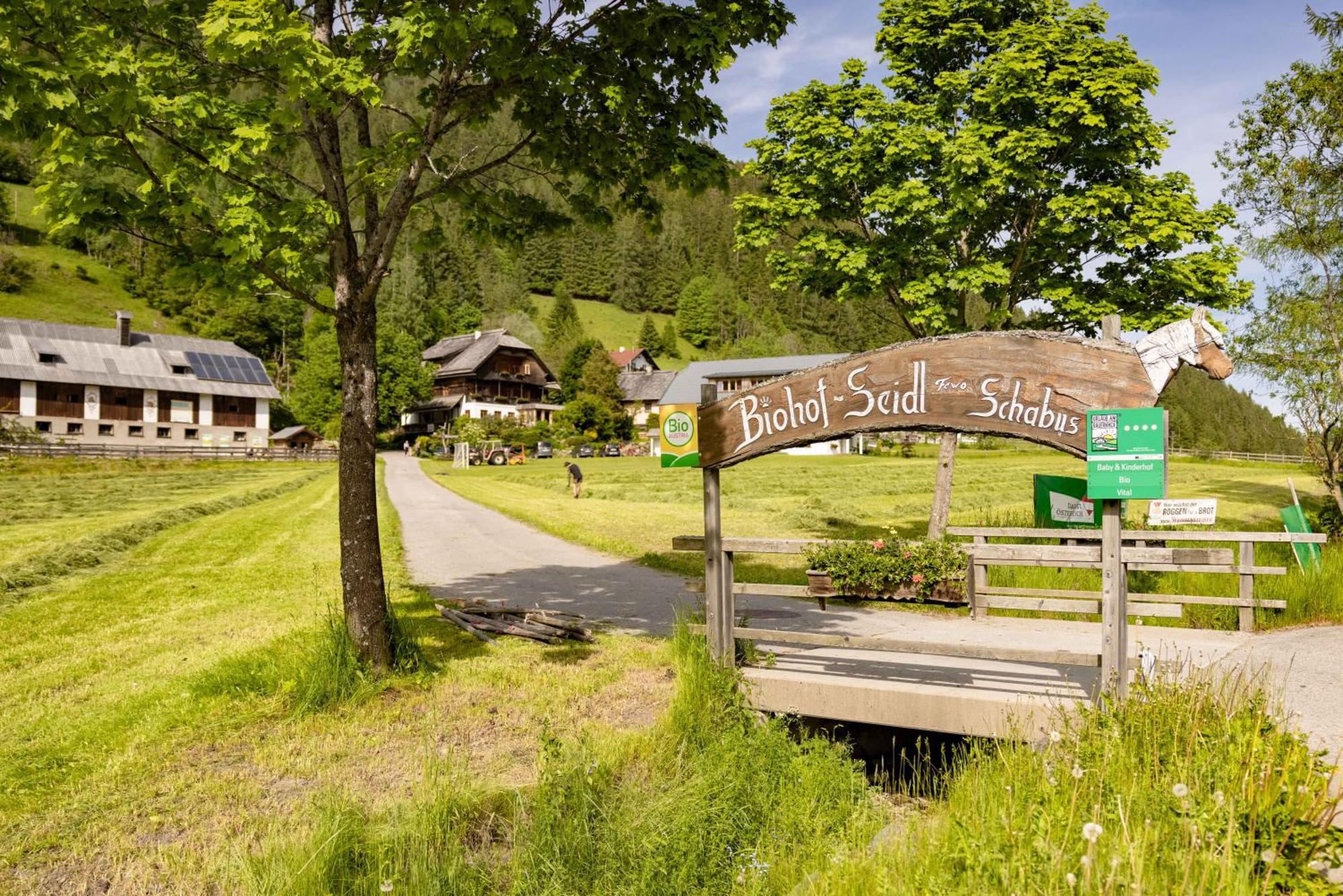 Apartamento Biohof Seidl Bad Kleinkirchheim Exterior foto